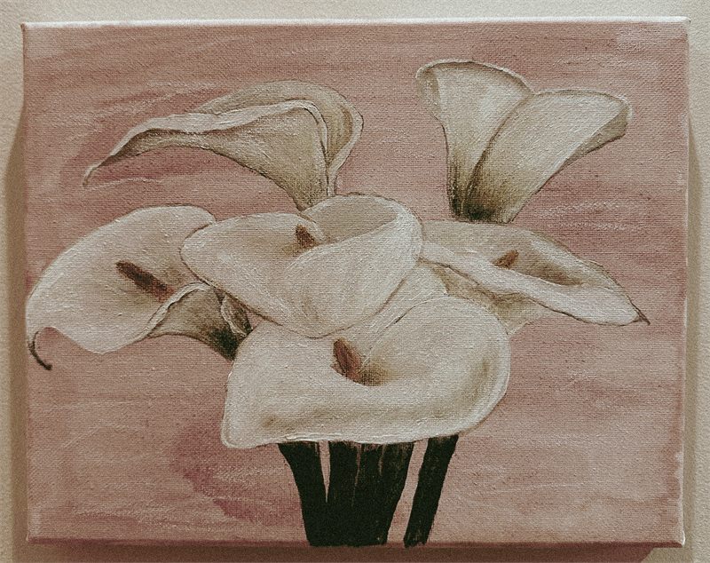 Painting of white calla lilies on a dusty pink ground, in oil on canvas